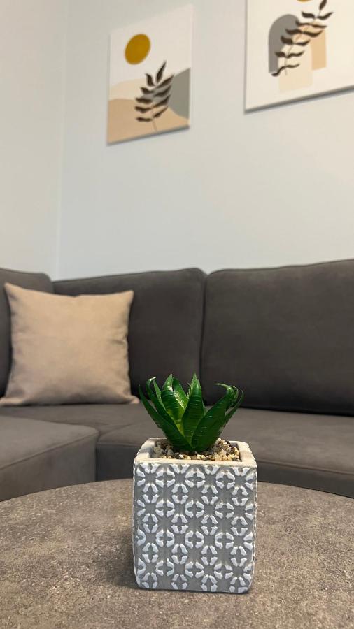 Sael Apartments Шкодер Экстерьер фото